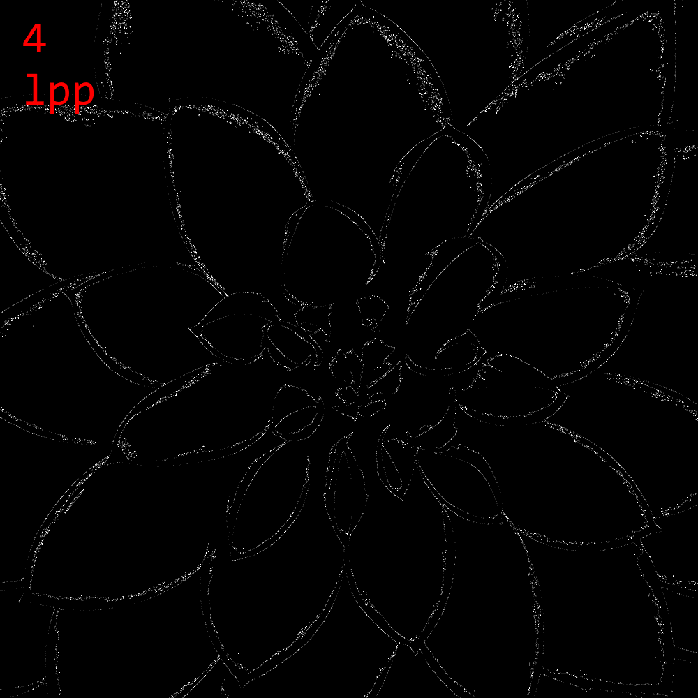 Flower absolute error comparison