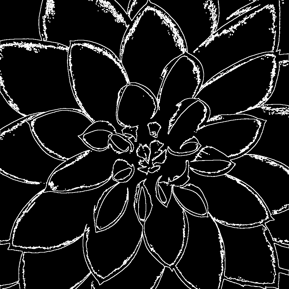 flower image edges